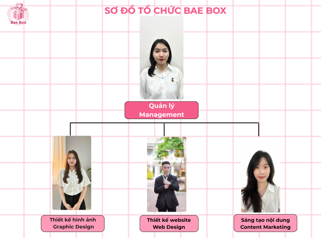 SƠ ĐỒ TỔ CHỨC BAE BOX
