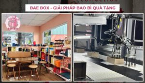 cac-mau-hop-dung-qua-dep-8