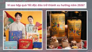 hop-qua-doc-dao-thumbnai