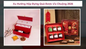 hop-dung-qua