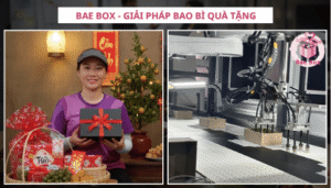 hop-qua-bat-ngo (10)