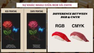 thiet-ke-hop-qua-tang-1